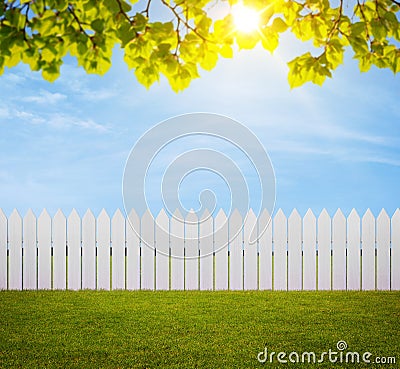 Back Yard background Stock Photo