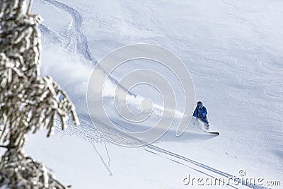 The backcountry snowboarder gracefully carves through the untouched powder snow Stock Photo