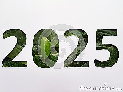 number 2025 with green leaf texture and white background Stock Photo