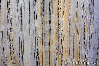 Backdrop texture of chipped wood cut, crack, break. cracked wooden structure background Stock Photo