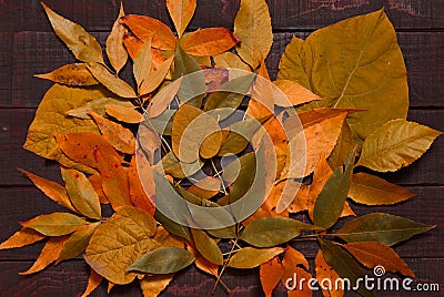 Backdrop from yellow aged leaves on dark rustic wooden background. Fall concept. Mock up for thanksgiving day. Top view. Flat lay Stock Photo