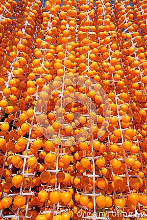 Dried persimmon production Stock Photo