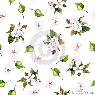 Background with apple flowers Stock Photo
