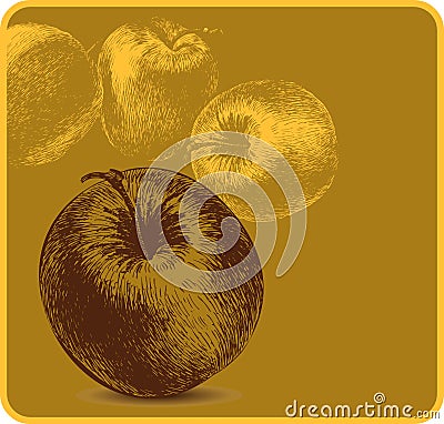 Background with apples, hand-drawing. Vector illus Vector Illustration