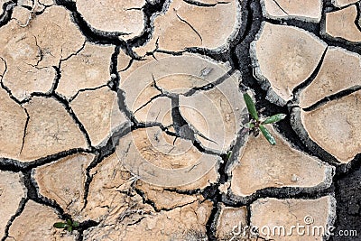 Background aridity Stock Photo