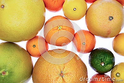 Background of assorted citrus fruit on white Stock Photo