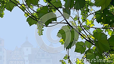 Background with beautiful vine and green grape Vector Illustration