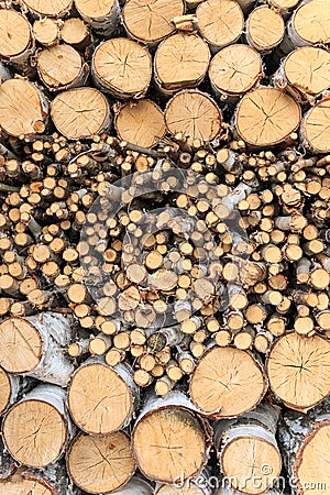Background of birch firewood stacked Stock Photo