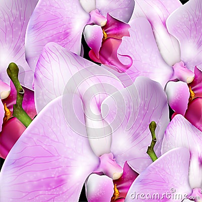 Background with blossom orchids Stock Photo