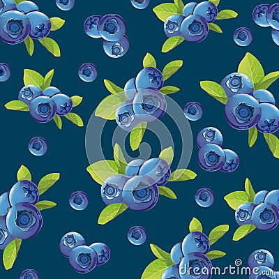 Background of the blueberries Vector Illustration