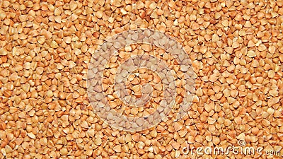 Background buckwheat, buckwheat, buckwheat grain Stock Photo