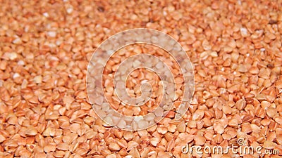 Background buckwheat, buckwheat, buckwheat grain Stock Photo