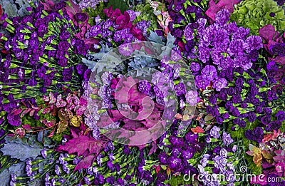 Background carnations Stock Photo