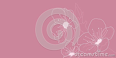 Background of cherry blossoms Vector Illustration