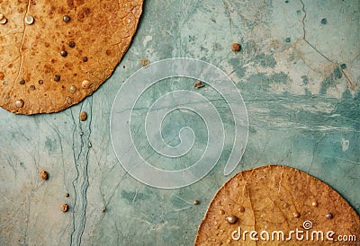 The background is a clean and smooth surface with a soft gradient, smoothly transitioning from light to darker shades Stock Photo