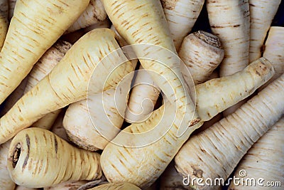 Background and close up of white parsley root Stock Photo