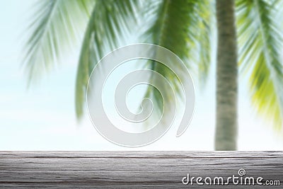 Background coconut tree and plank wood, coconut palm tree background blurred and slats wooden texture floor plank table empty Stock Photo