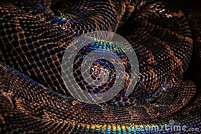 Background - coiled snake rings Stock Photo