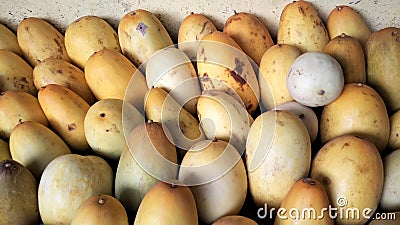 background of a collection of golden cucumbers lined up Stock Photo