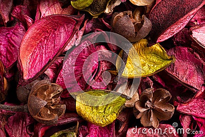 Background of colored aromatic potpourri leaves Stock Photo