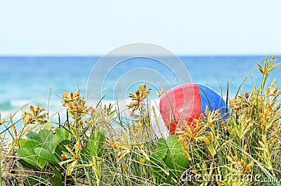 Background colorful beach ball in sand dunes grass of ocean Stock Photo