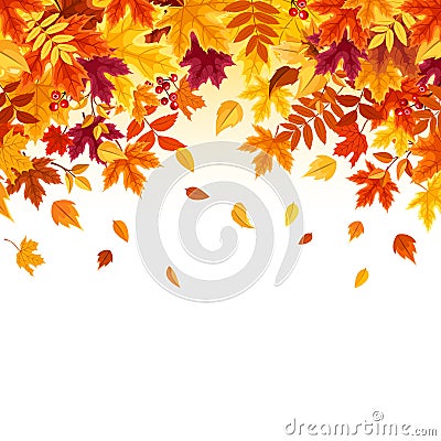 Background with colorful falling autumn leaves. Vector illustration. Vector Illustration