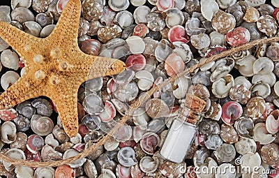 Background of colorful shells with a starfish and a small glass bottle Stock Photo