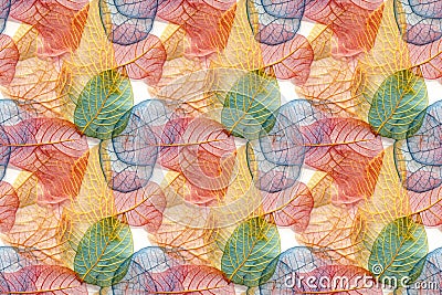 Background from colorful skeletonized leaves. AI generated Cartoon Illustration