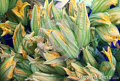 Background of colorful zucchini flowers. Stock Photo