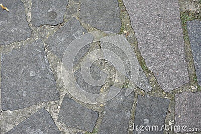 Background composition tree bark brick brickwork cement building wood, Stock Photo