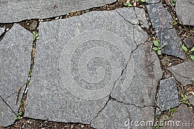 Background composition tree bark brick brickwork cement building wood, Stock Photo