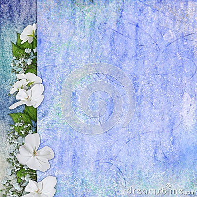 Background for congratulation card Stock Photo