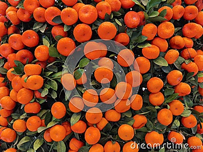 Background and copy space. Oranges and mandarins resemble gold and sounds like the word success in Mandarin or luck in Cantonese, Stock Photo