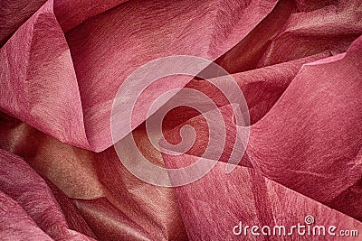 A background of crumpled pink wrapping paper Stock Photo