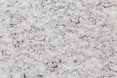Background of crystals of salt in nature Stock Photo