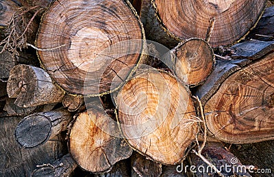 Background of cutted logs. Firewood stack natural background Stock Photo