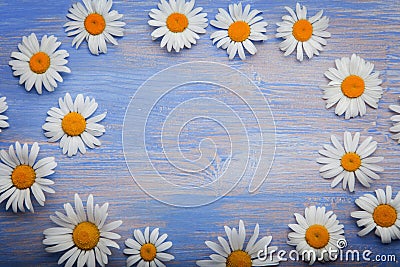 Background of daisies on an old wood board Stock Photo