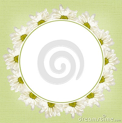 Background with daisy flowers Stock Photo