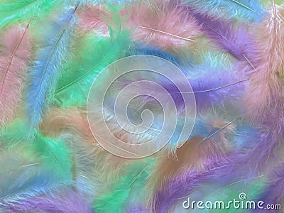 Background delicate multicolored beautiful feathers Stock Photo