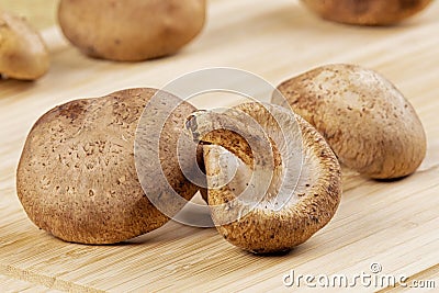 Background of delicious edible brown mushrooms Stock Photo