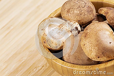 Background of delicious edible brown mushrooms Stock Photo