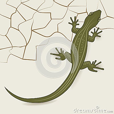 The background of the desert lizard Stock Photo