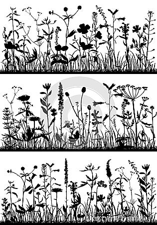 Background with drawing herbs and flowers Vector Illustration