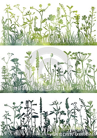 Background with drawing herbs and flowers Cartoon Illustration