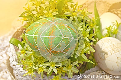 Background with Easter eggs and flower blossom Stock Photo