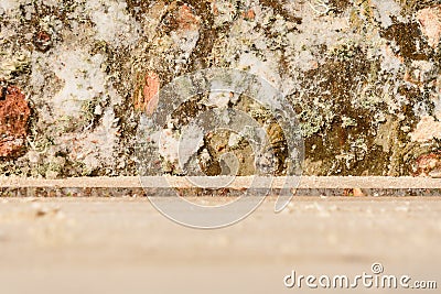 Background ends of the boards. The ends of the lumber. Pine ends. Wood background Stock Photo