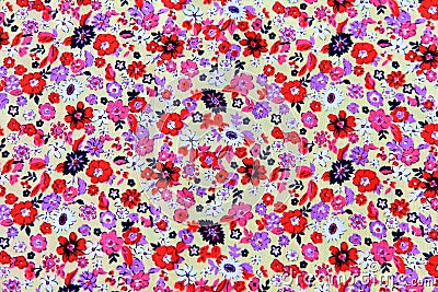 Background fabric floral Stock Photo