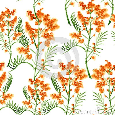 Background with a flower of a mimosa. Seamless pattern. Watercolor illustration. Stock Photo