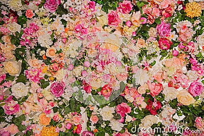 Background from flowers. Blooming spring texture. Stock Photo