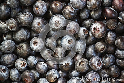 Background formed with ripe blueberry Stock Photo